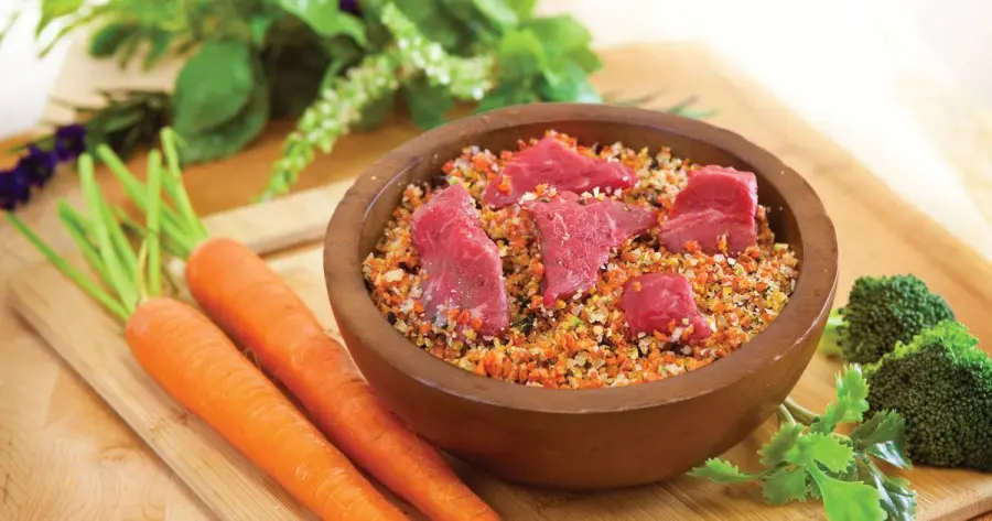 Dieta chetogenica per cani: che cos'è e quali vantaggi offre