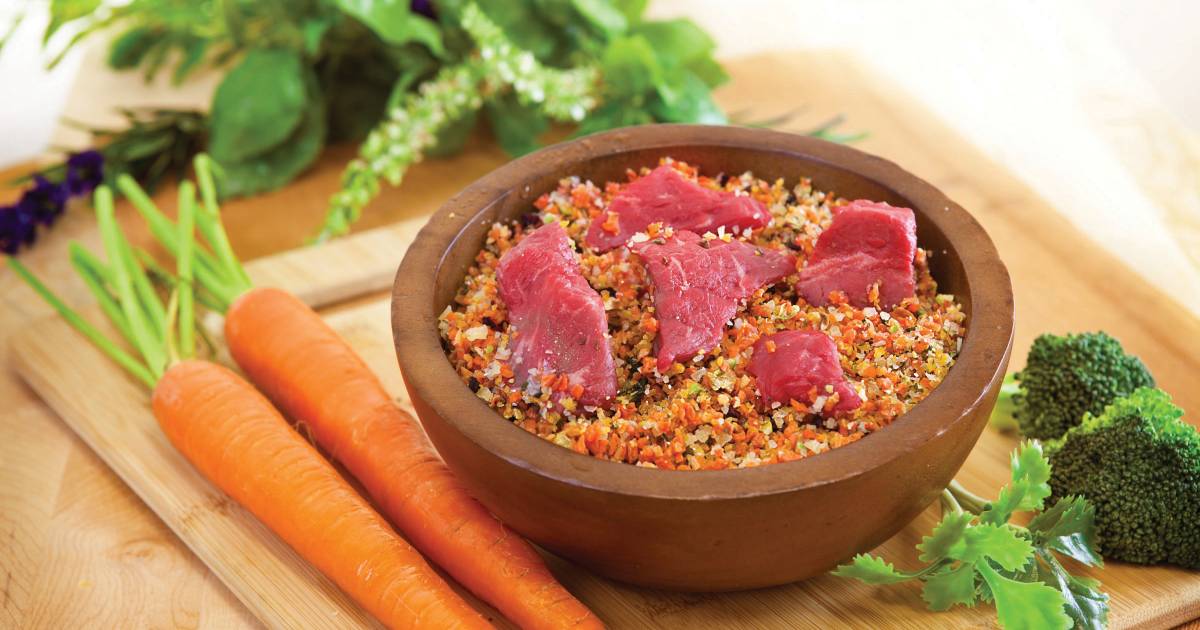 Dieta chetogenica per cani: che cos'è e quali vantaggi offre