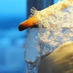 Moda, oroscopo e gastronomia: troviamo i punti in comune