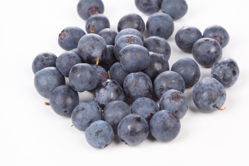 Pressione arteriosa? I mirtilli funzionano