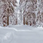 Come spalare la neve (senza finire con il mal di schiena)