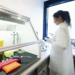 Le intolleranze alimentari provocano problemi di infertilità