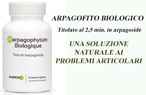 Expo 2015: obesità, è allarme artrosi alle ginocchia