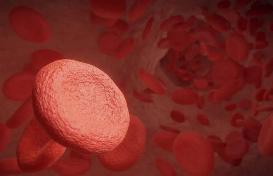 Come abbassare il colesterolo LDL: consigli e cibi migliori