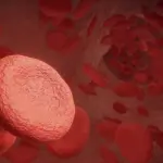 Come abbassare il colesterolo LDL: consigli e cibi migliori