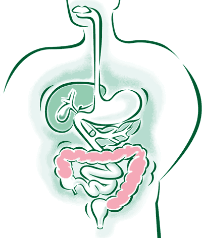 Proteggere la flora intestinale: i probiotici naturali