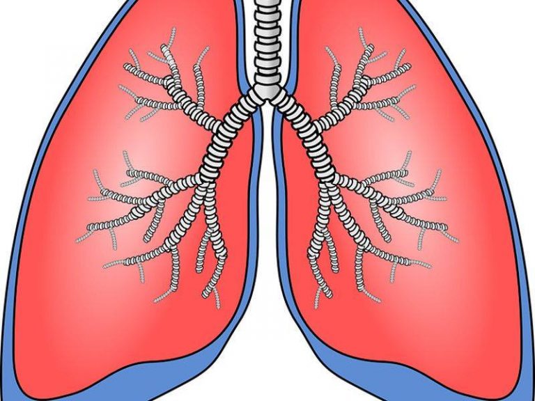 Acqua nei polmoni, sintomi e rischio di tumore è grave? Blog Benessere Acqua nei polmoni, sintomi e rischio di tumore è grave? Blog Benessere