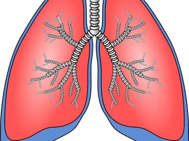 Acqua nei polmoni, sintomi e rischio di tumore: è grave?