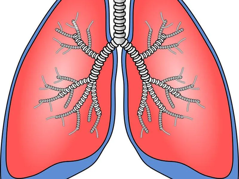 Acqua nei polmoni, sintomi e rischio di tumore: è grave?